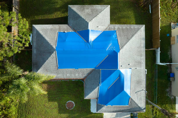 Best Asphalt Shingles Roofing  in Fayette, OH